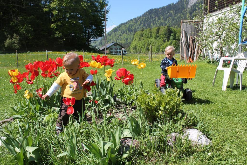 Ferienwohnungen Sutter Au (Vorarlberg) Exterior foto