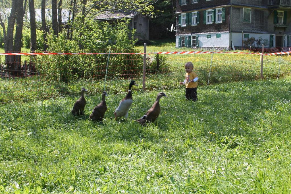 Ferienwohnungen Sutter Au (Vorarlberg) Exterior foto