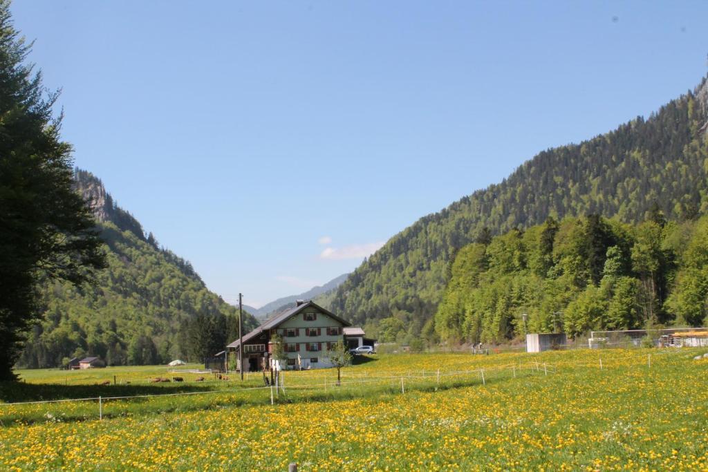 Ferienwohnungen Sutter Au (Vorarlberg) Exterior foto